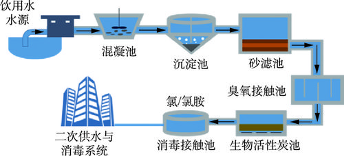 饮用水消毒工艺对病毒的灭活