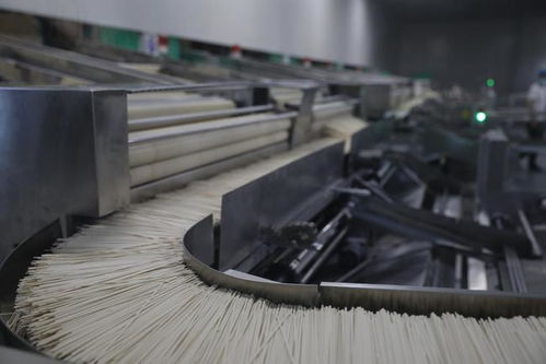 陕西日报全媒体行动走进咸阳 总投资20亿 西北最大的粮食加工基地在武功