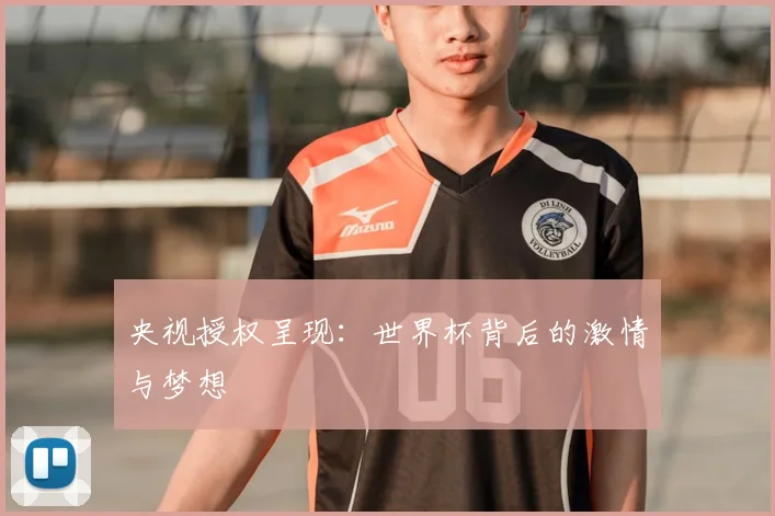 央视授权呈现:世界杯背后的激情与梦想